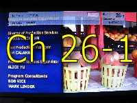 Thumbnail of digital multicast channel 1